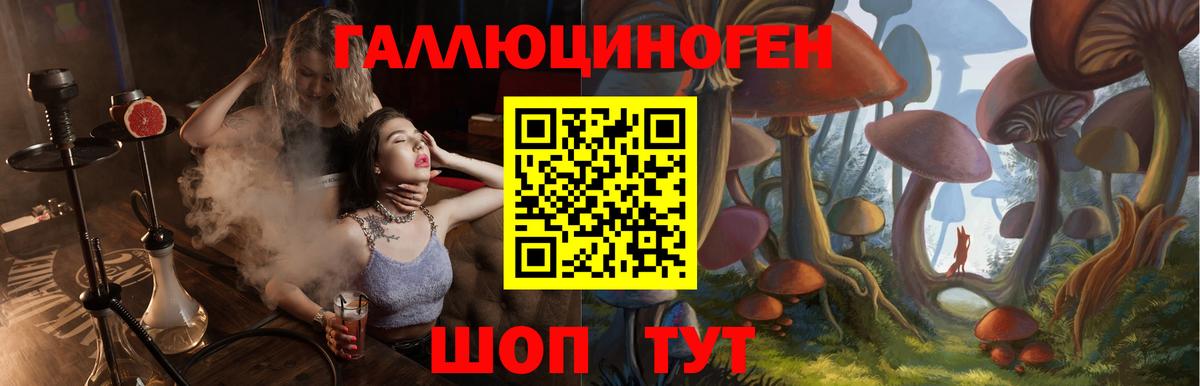 Калининград  Псилоцибиновые грибы Magic Shrooms  Вход с VPN 